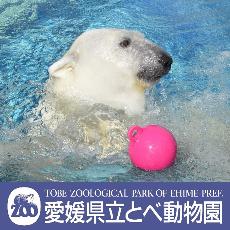 愛媛県立とべ動物園へ遷移する画像ボタン