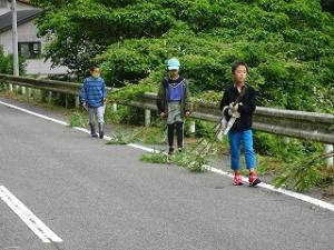 竹を引いてセンターへ帰る留学児童の写真