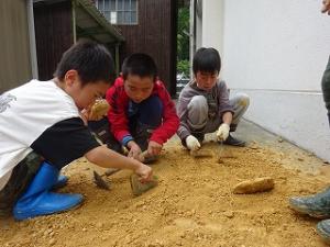硬い土を砕く作業班の写真