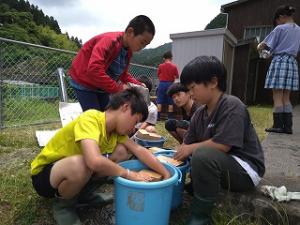 協力して作業する留学児童の写真