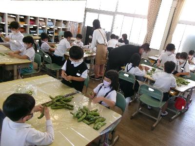 麻生小学校の子どもたちがさやとりしている写真