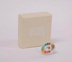 SDGs砥部焼ピンブローチ