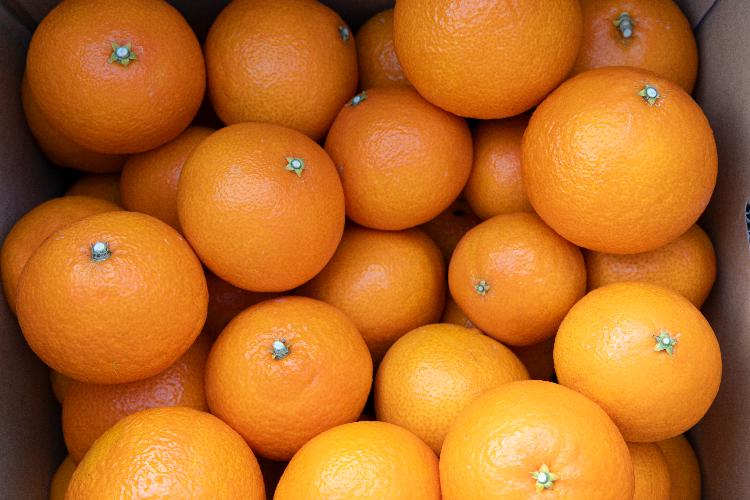 箱に詰められた紅まどんな