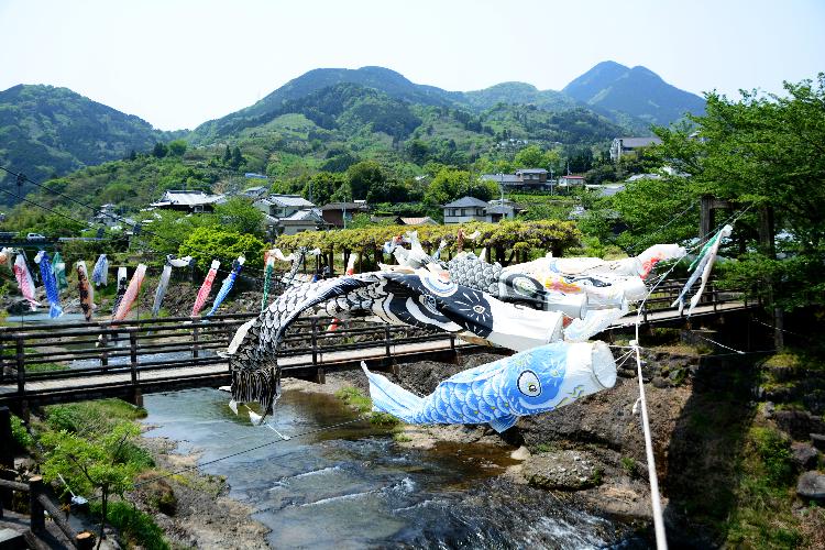 5月断層公園こいのぼり