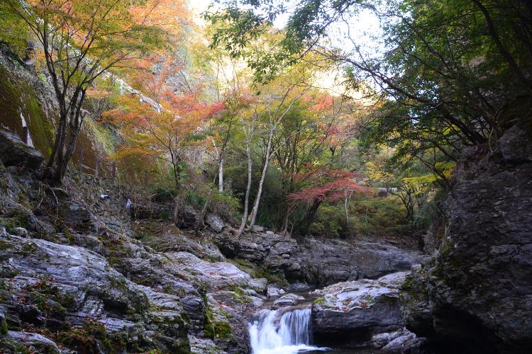仙波渓谷_紅葉