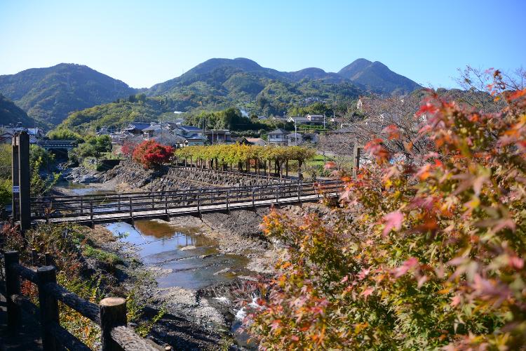 衝上断層（秋）