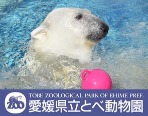 愛媛県立とべ動物園のホームページに遷移する画像ボタン