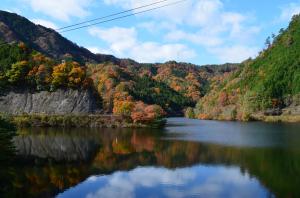 紅葉が色づく中で普段より水位が高い銚子ダムの写真