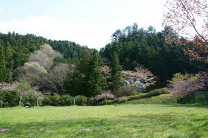 多くの木々に囲まれた緑豊かな銚子ダム公園内広場の写真