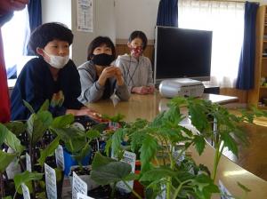 緑が鮮やかな野菜苗の説明を聞く留学児童の写真
