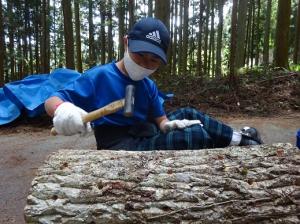 原木1本に約50個のコマ菌を打ち込む留学児童の写真