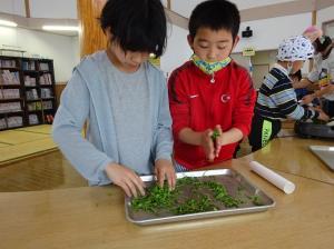 だんだん手つきの良くなる留学児童の写真
