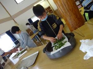 集中して作業する留学児童の写真