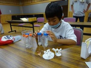 消毒の効果を実験する留学児童の写真