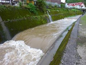 増水した高市川の写真