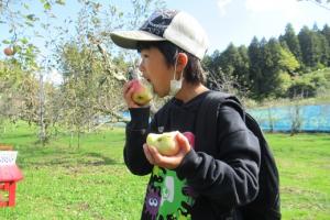 両手にリンゴを持ってかぶりつく留学児童の写真