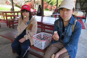 屋根の下に移動してリンゴを食べる留学児童の写真