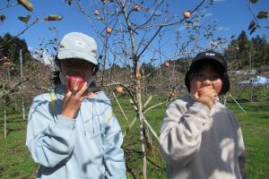二人仲良くリンゴを食べる留学児童の写真