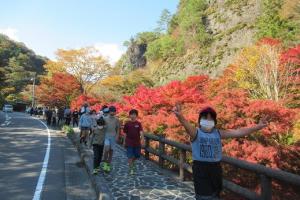 遊歩道を散策する留学児童の写真