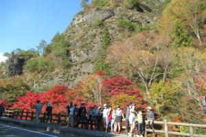 紅葉の前で記念撮影する留学児童の写真