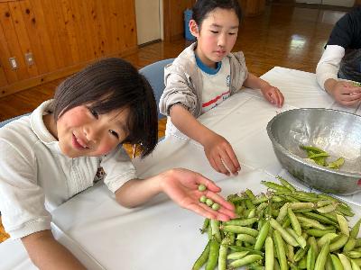 さやとりしている子どもたちの写真