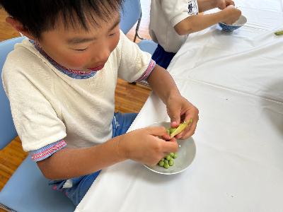 さやとりしている子どもたちの写真