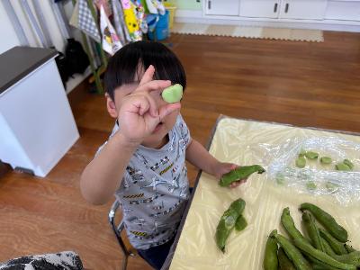砥部こども園の子どもたちがさやとりしている写真
