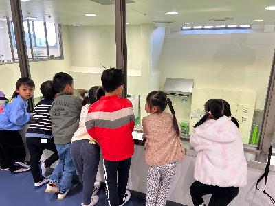 見学通路から調理場を見学している写真