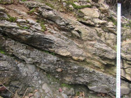 砥部衝上断層の露頭部分とスケール