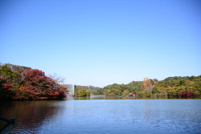 通谷池の紅葉1（宮内）201711