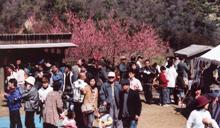 花が咲いた梅の木の前で多くの人々が楽しんでいる様子を写した七折梅まつりの写真