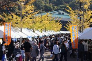 砥部町陶街道ゆとり公園に多くの白いテントが並び、来場した人でにぎわう秋の砥部焼まつりの様子を写した写真